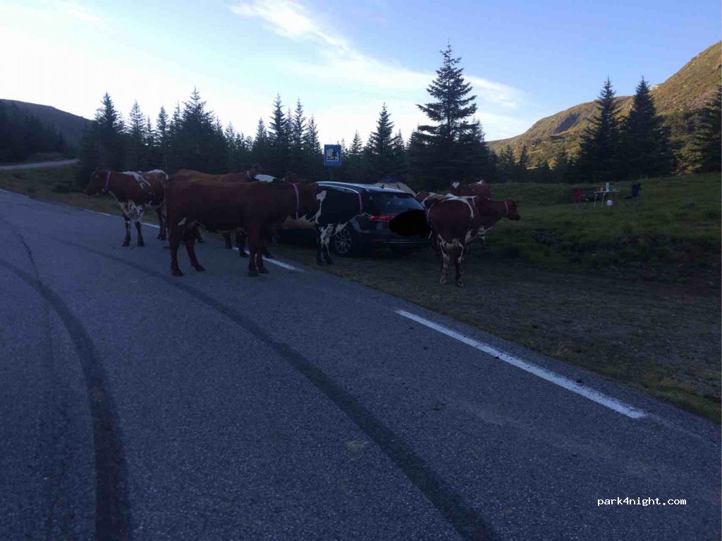 (5961) - 1 Sekundær Fylkesveg 2 — foto 2