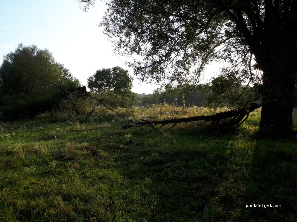 () Şoimuş - DC216 — foto 2