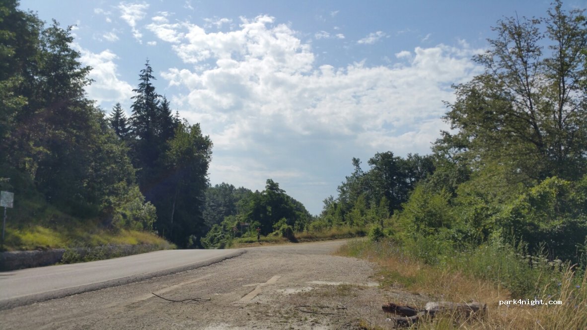 (50060) Stia - Strada Statale Stia - Londa — foto 3