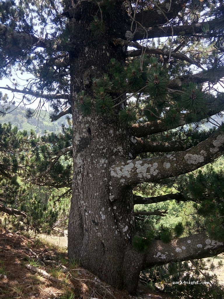 (44200) Μέτσοβο - Παναγίας - Ιωαννίνων — foto 4