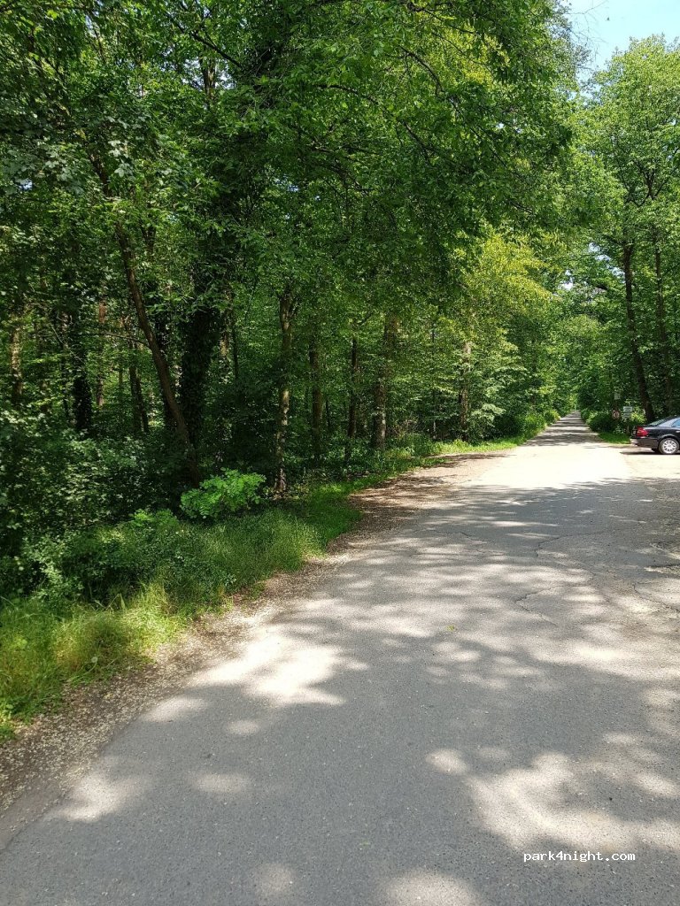 (68723) Schwetzingen - B291 — foto