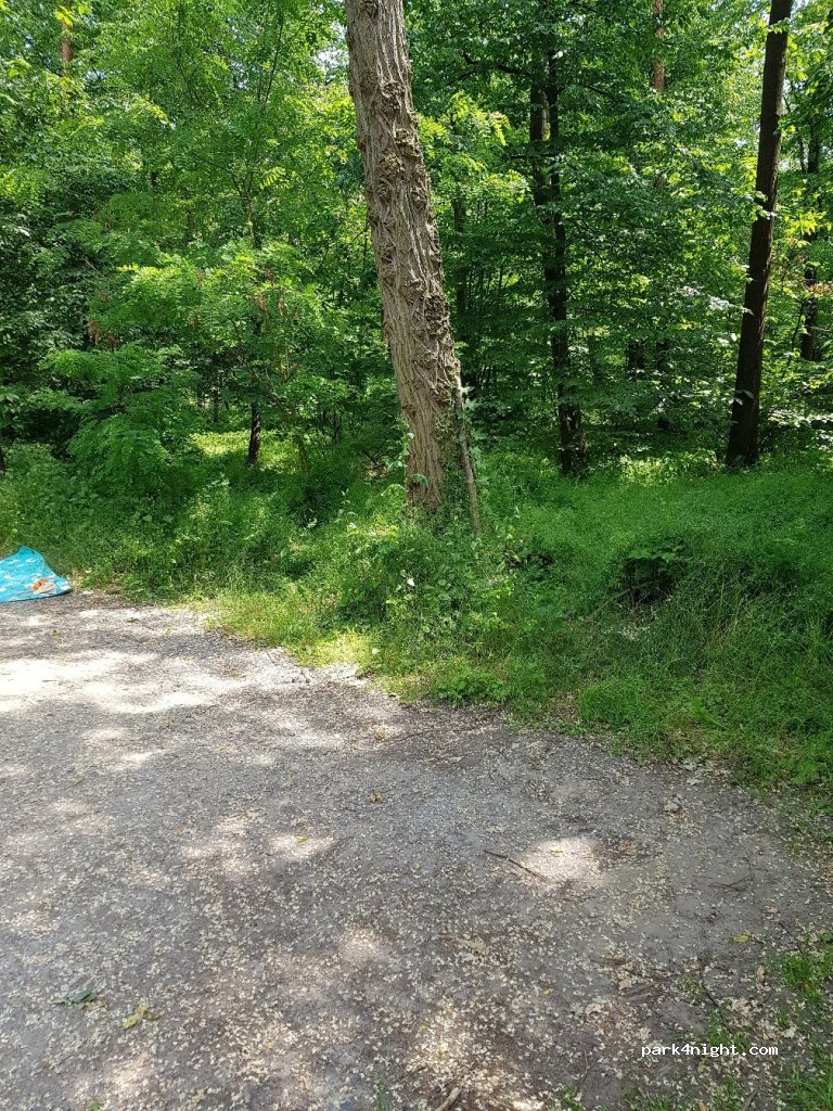 (68723) Schwetzingen - B291 — foto 2