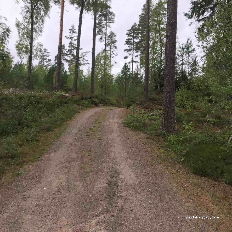 (512 95)  - 101 PÅARP — foto 3