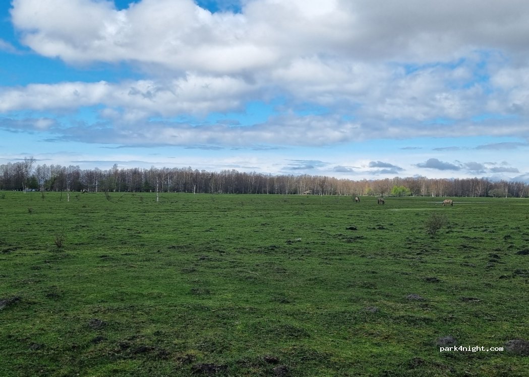 (3476)  - Unnamed Road — foto 4