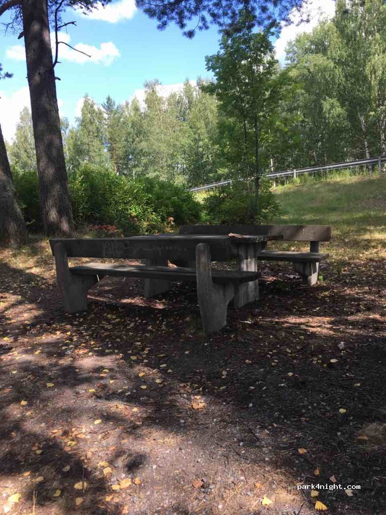 (35820) - 338 Orivedentie — foto 3