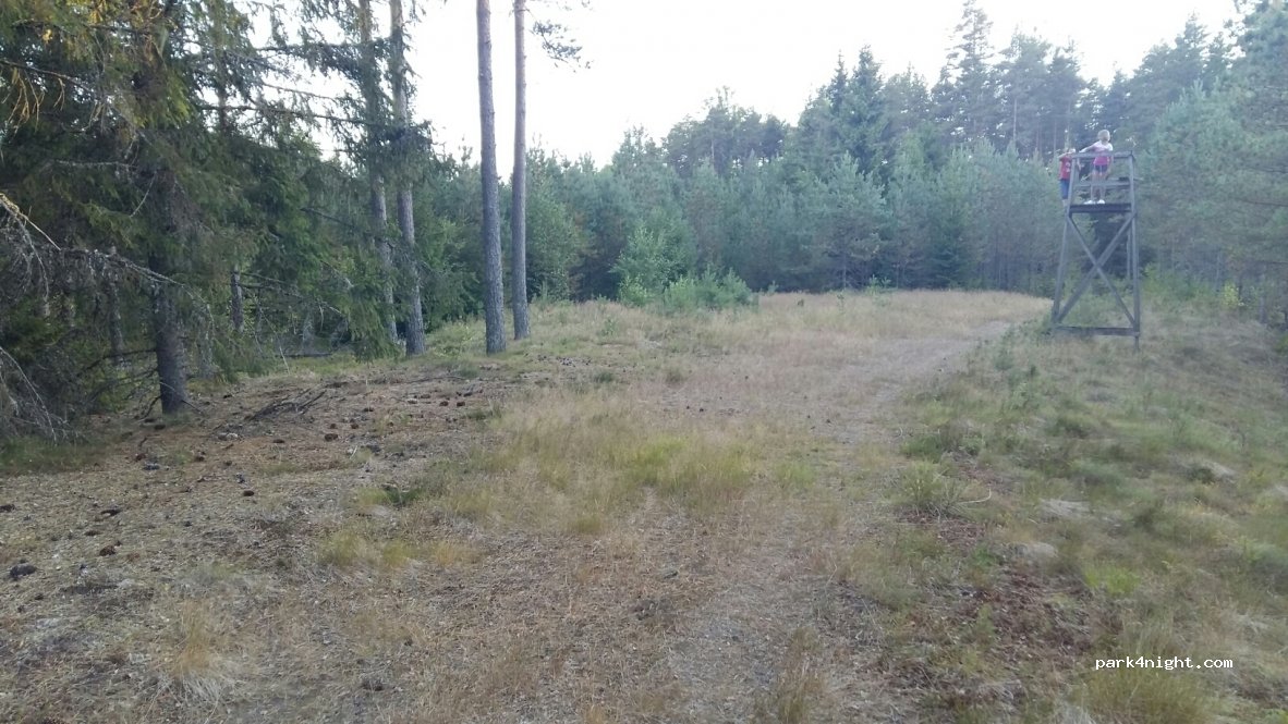 (330 27) Hestra - 26 — foto 3