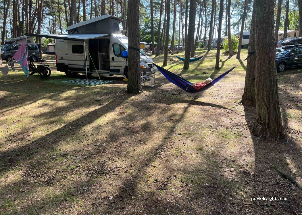 Camp 71 Gallus — foto 4