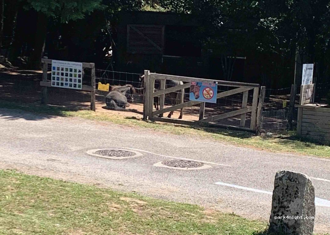 Camping La Porte d'Autan — foto