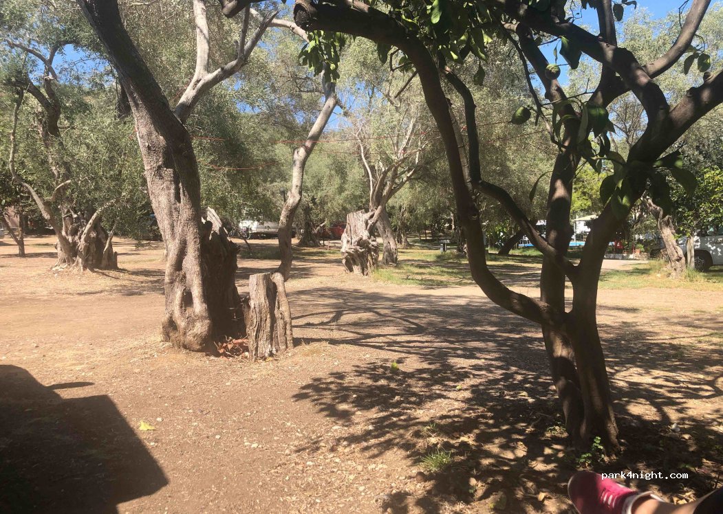 Camping Kariotes Beach — foto 2