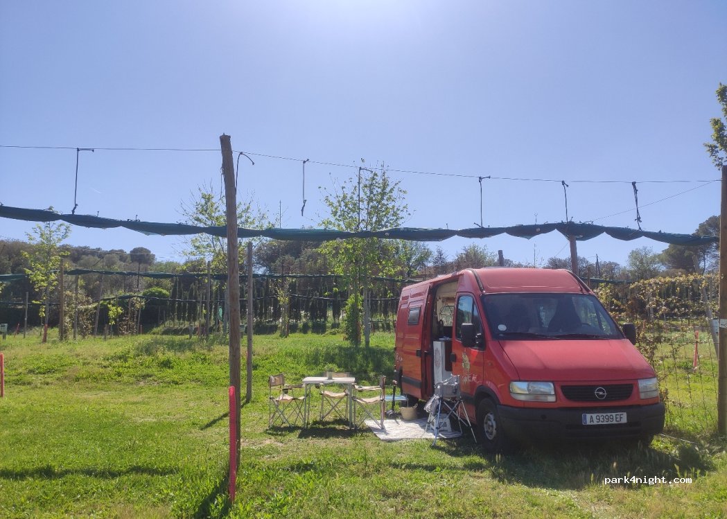 Càmping Rural Montori — foto 4