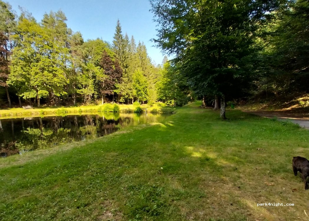 (63760) Bourg-Lastic - La Tuilerie — foto 3