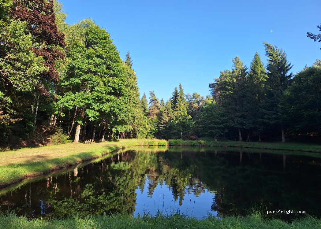 (63760) Bourg-Lastic - La Tuilerie — foto 5
