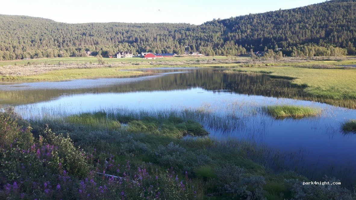 (3580)  - 85 Nord-skurdalen — foto