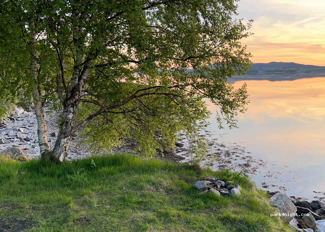 (6260) - 17 Sekundær Fylkesveg 110 — foto 3