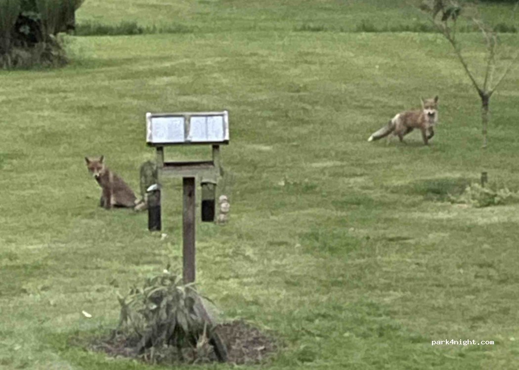 Thorager Camping — foto 5