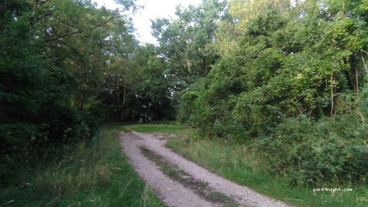 (91077) Hetzles - Bergweg — foto 2