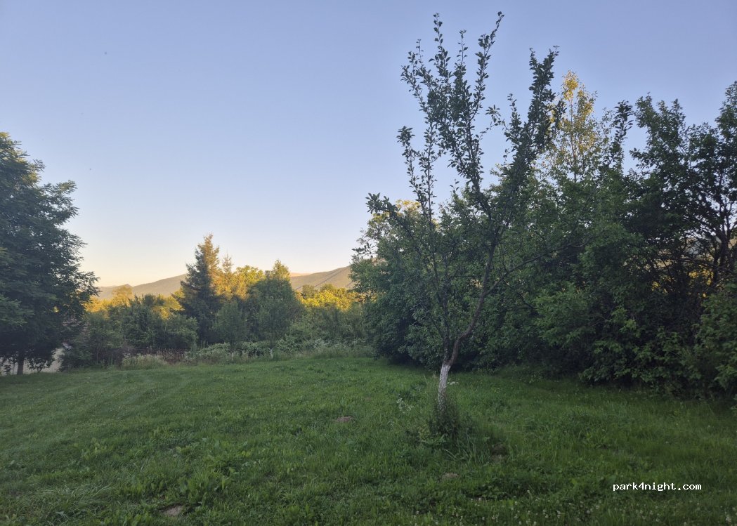 Pensiunea Zamolxe — foto 4