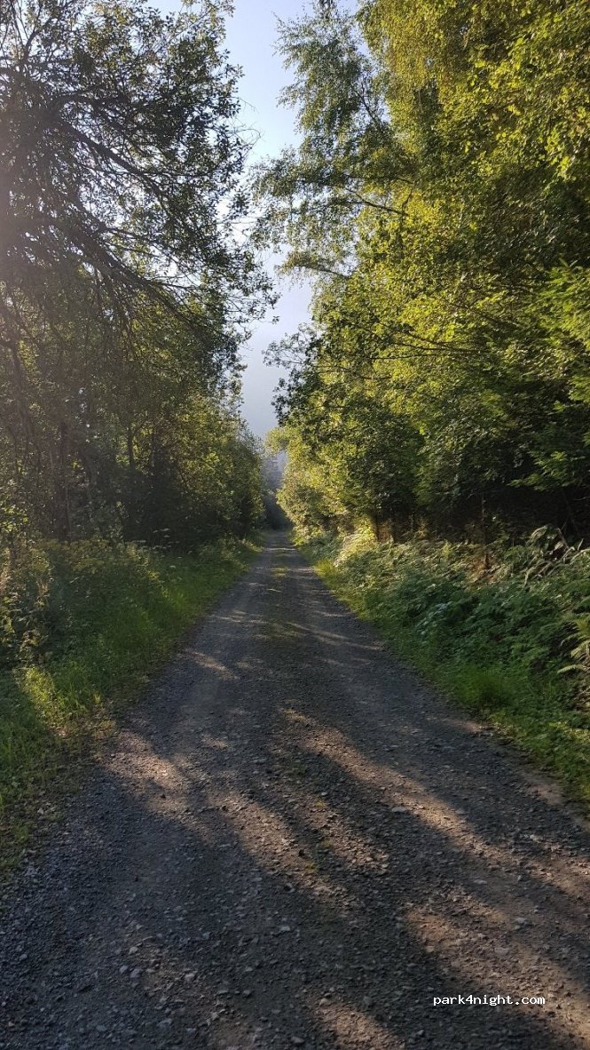 (38190) Laval - Route Forestière Bedina — foto 3