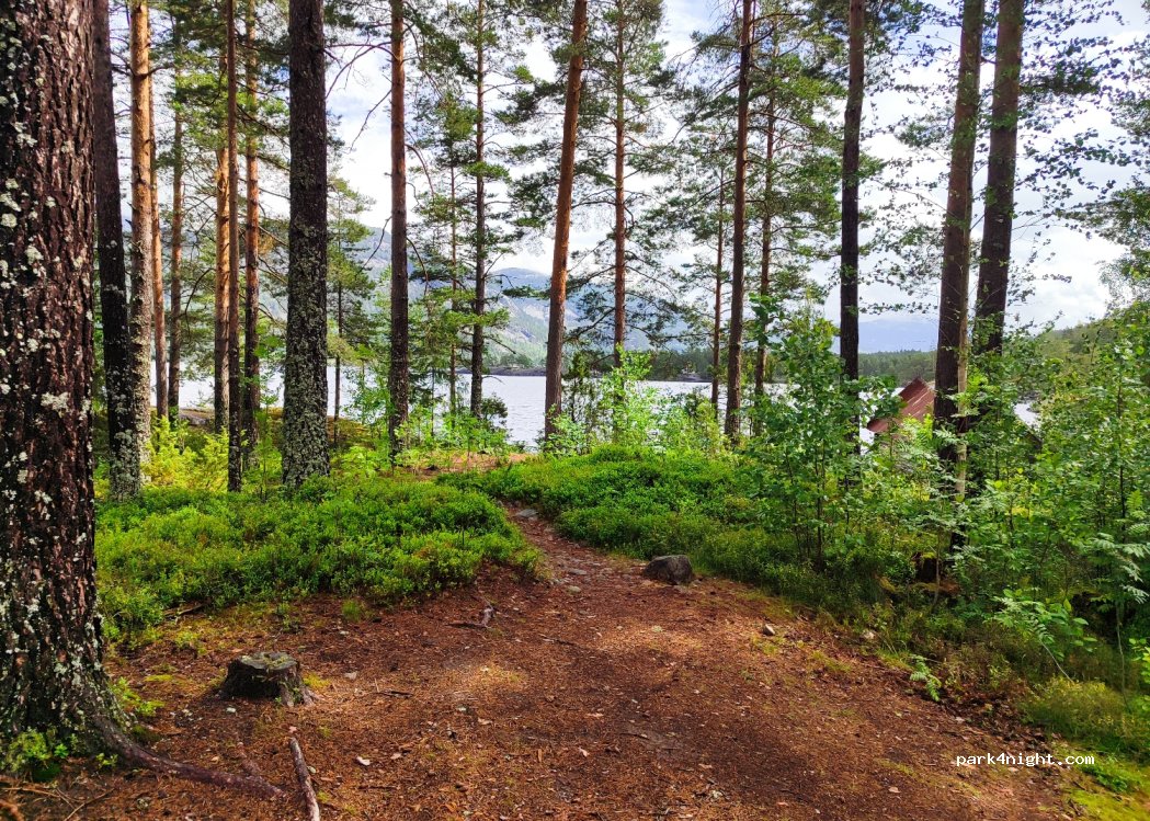 (3853) - 349 Sekundær Fylkesveg 455 — foto 4
