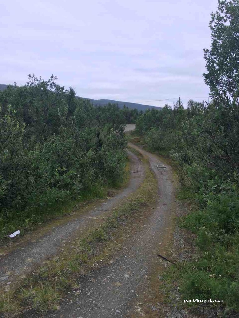 (9064) - 116 Sekundær Fylkesveg 312 — foto 2