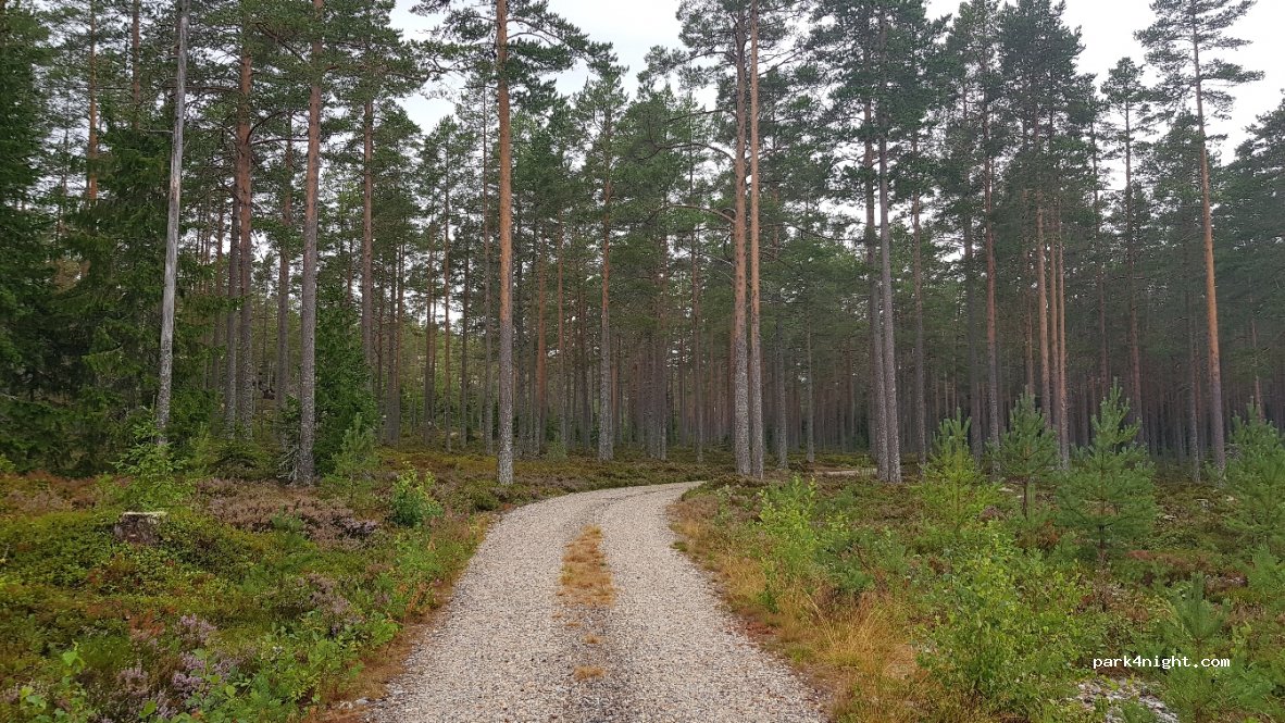 (820 77)  - 230 DYRÅN — foto 2