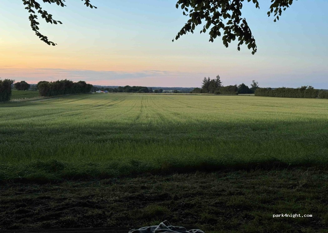 (6230) Rødekro - 45 Ribevej — foto 5