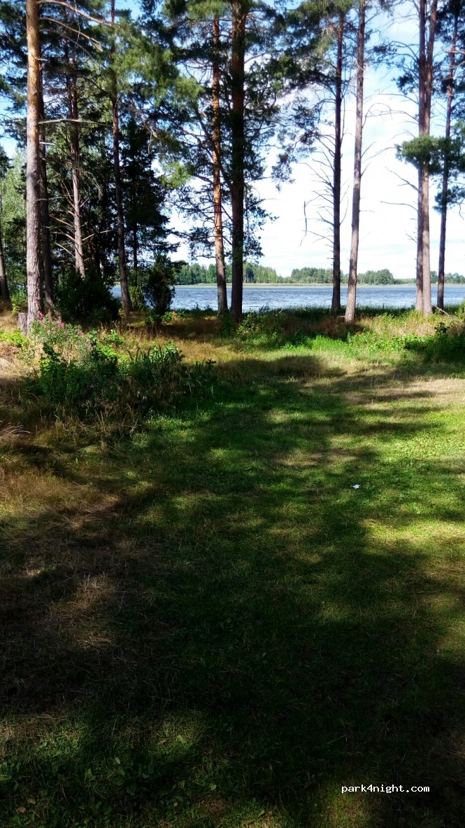 (810 40) Hedesunda - 10 Övägen — foto