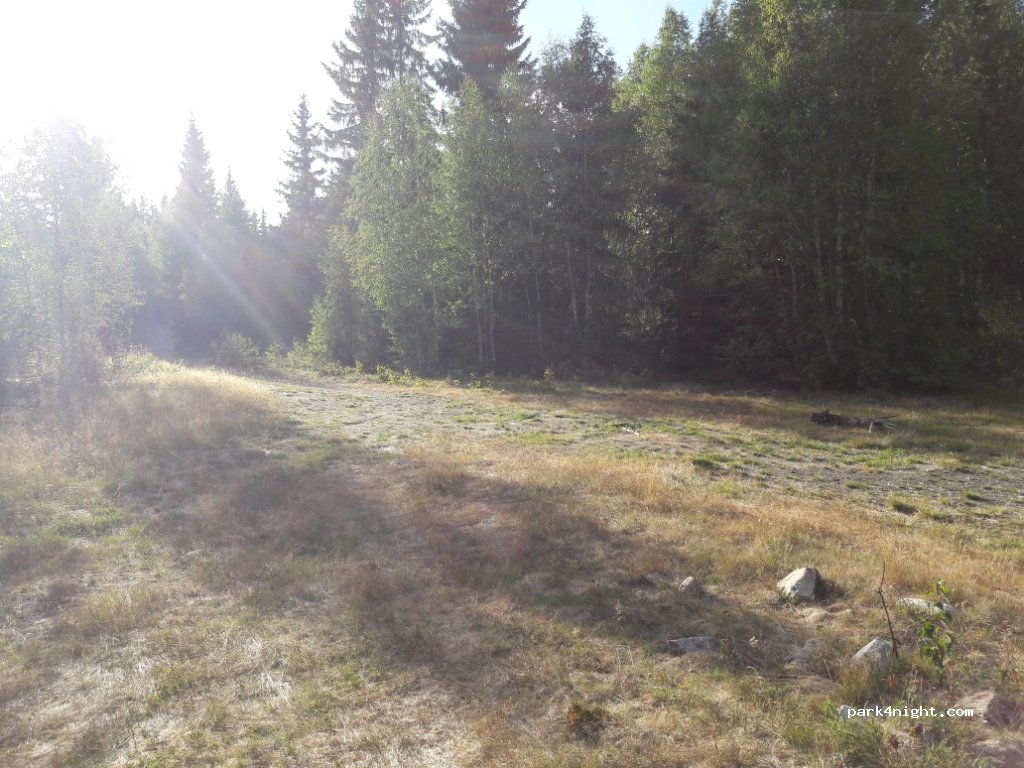 (2450)  - 36 Primær Fylkesveg 215 — foto