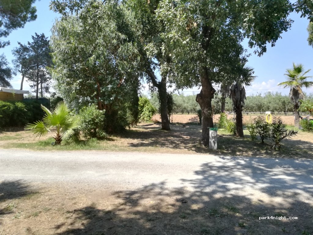 Camping le Dattier — foto 3