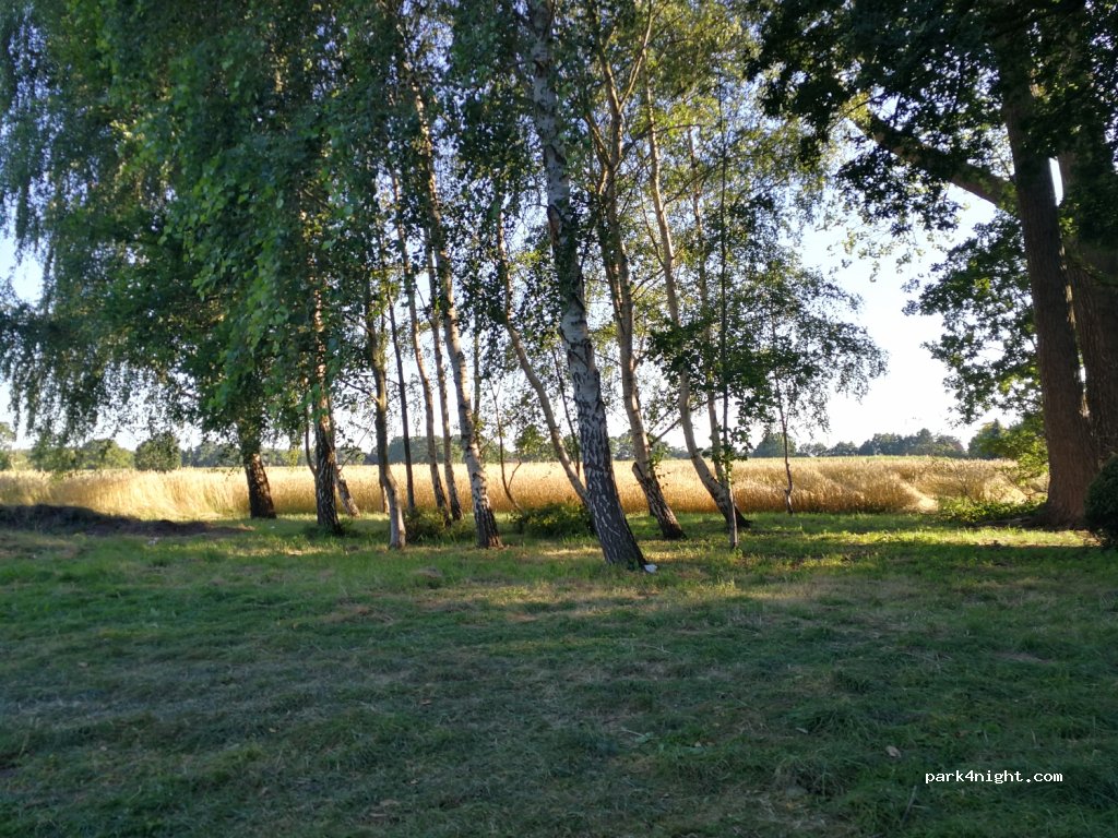 (26349) Jade - 2 An der Rennweide — foto 3