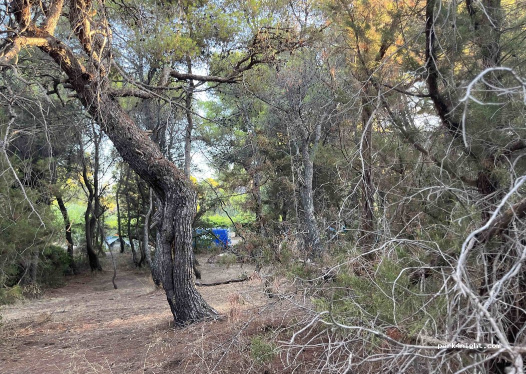 Camping Apollo Village — foto 4