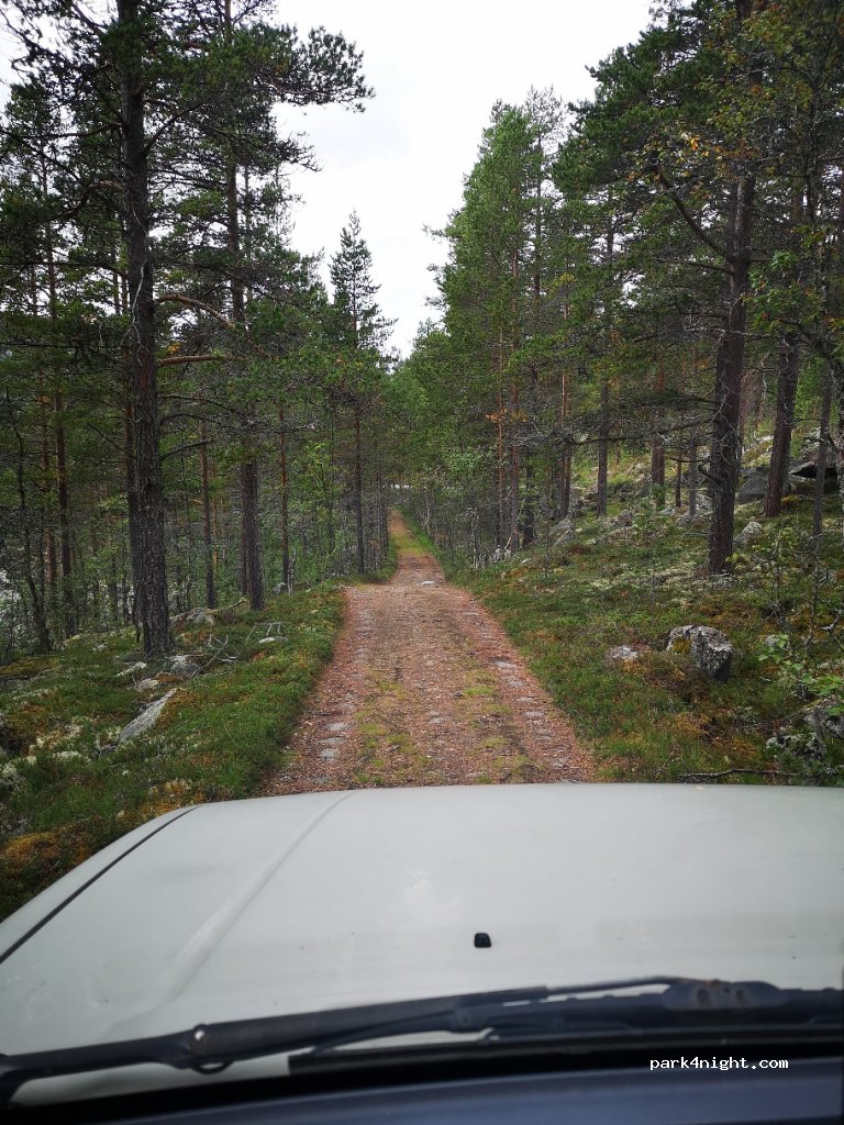 (3580)  - 82 Nord-skurdalen — foto