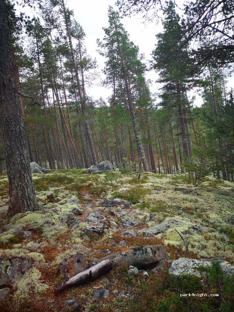 (3580) - 82 Nord-skurdalen — foto 2