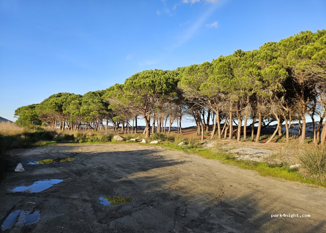 (08029) Iscra E Voes - Strada Statale 125 Orientale Sarda — foto 5