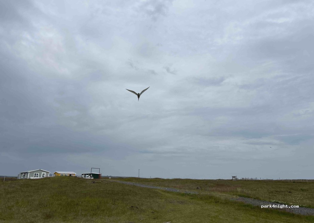 Strandakirkja Camping — foto 5