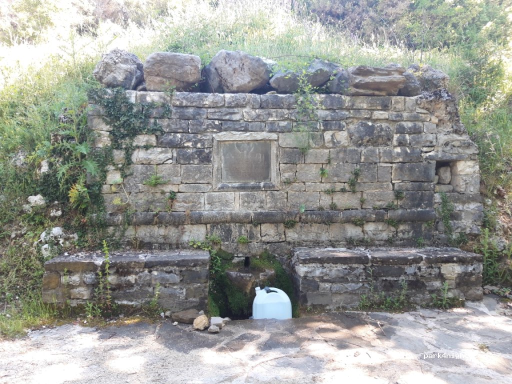 (440 04) papigko - Unnamed Road — foto