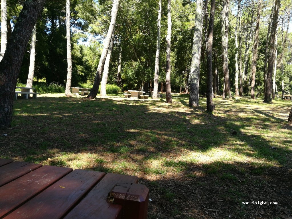 (15969) Riveira - 83 AC-303 — foto