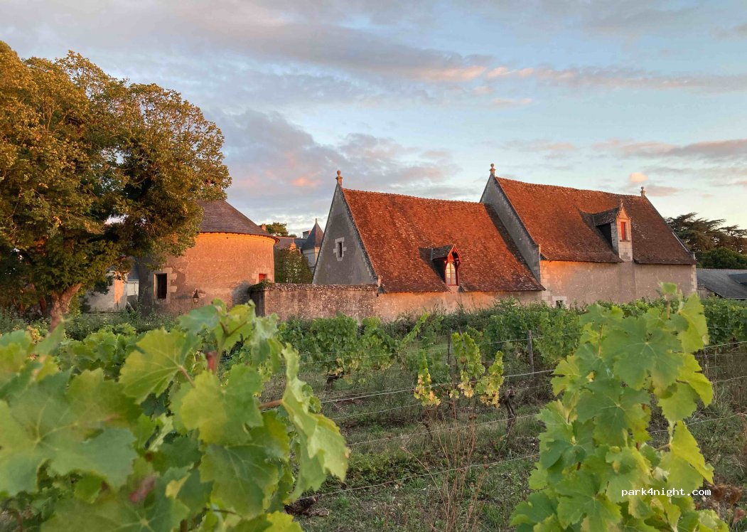 Château de Nitray — foto