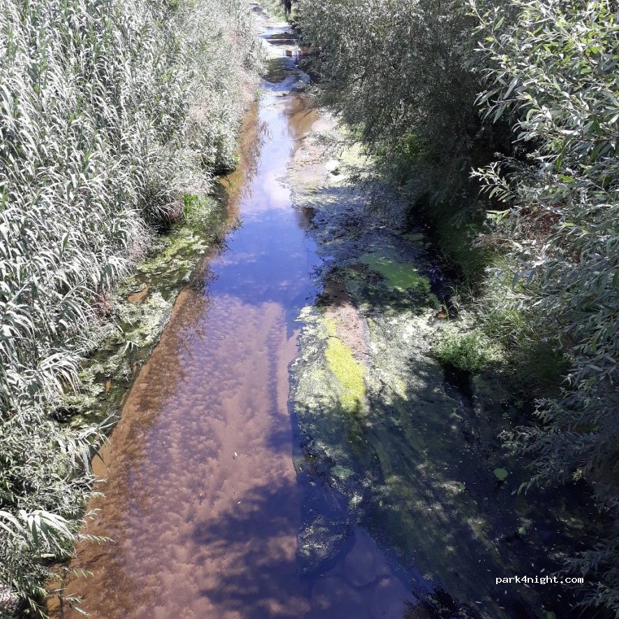 (2560) Ponte do Rol - 69 N9 — foto