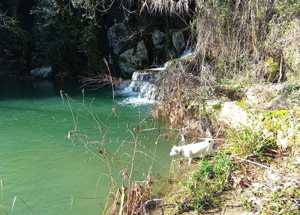 (240 14) Charavgi - Unnamed Road — foto 4