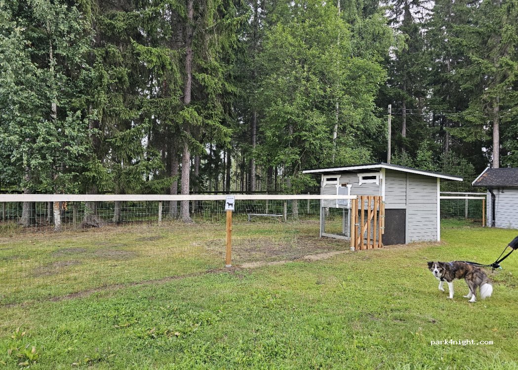 Juva Camping — foto 3