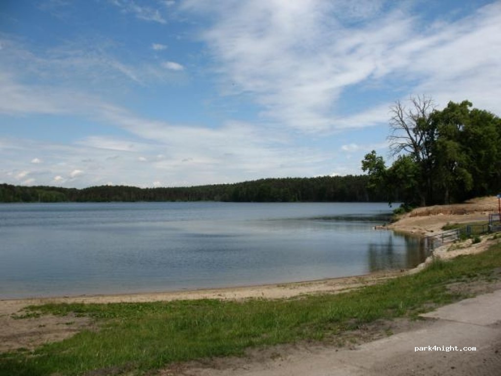(66-460) Witnica - Unnamed Road — foto