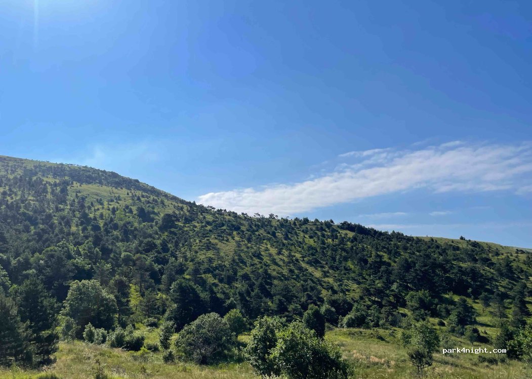 (18010) Triora - Strada Provinciale 89 Triora - Passo della Guardia — foto 3