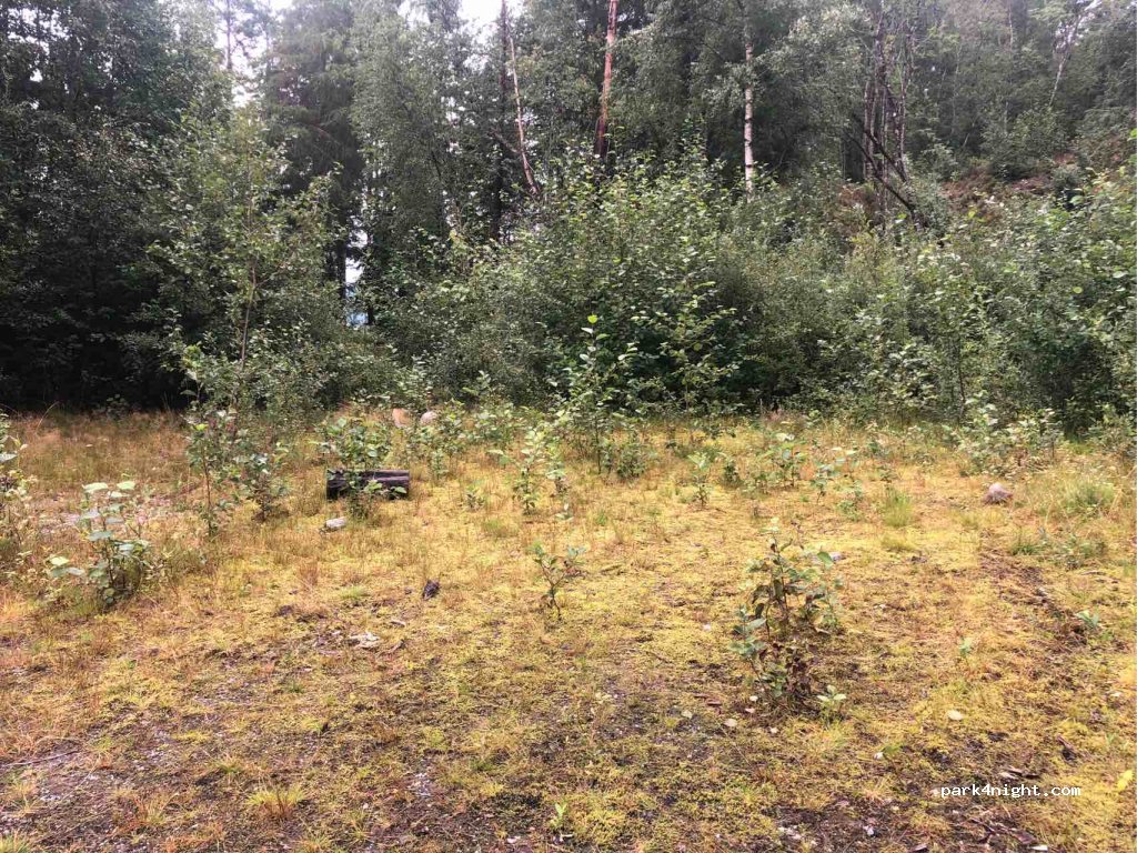 (6779)  - 14 Riksveg 15 — foto 2