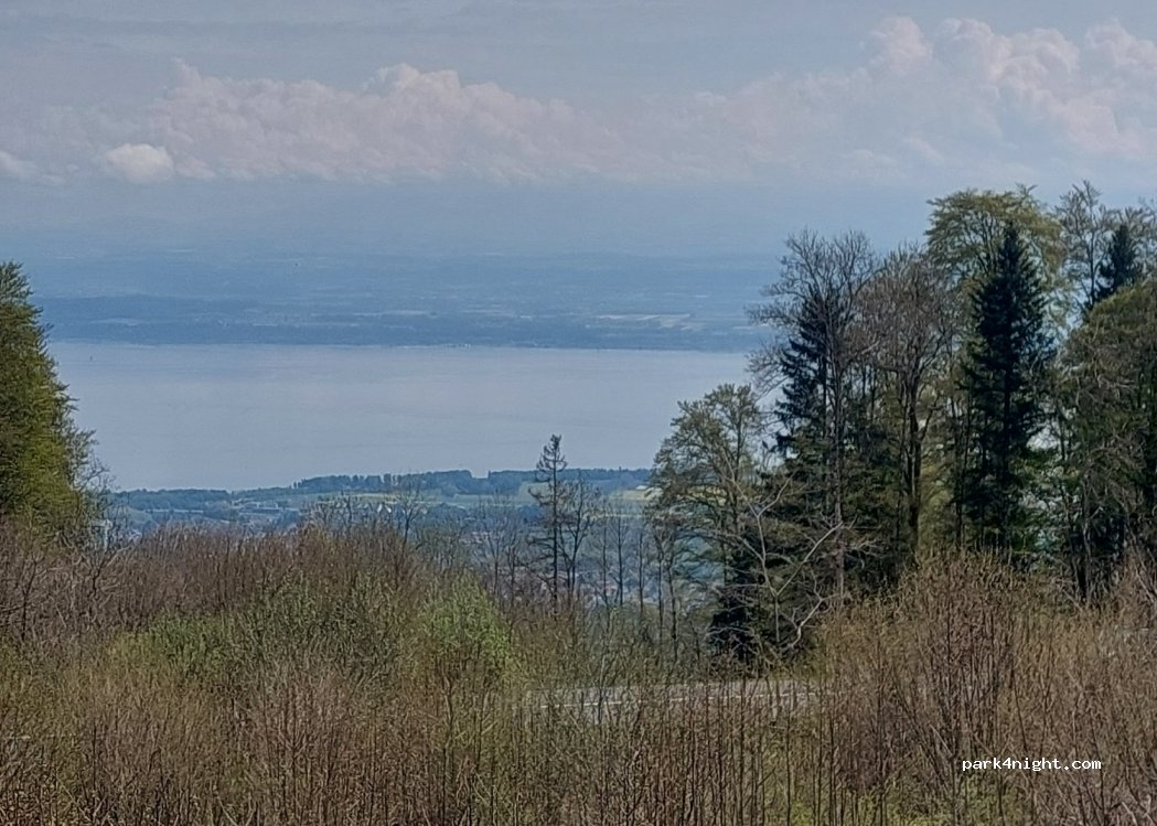 (2019) Rochefort - — foto 4