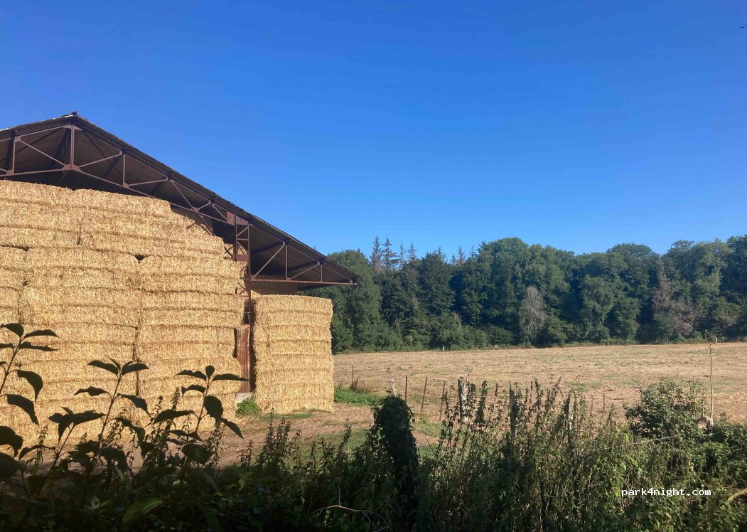 (80150) Forest-l'Abbaye - 76 Rue des Vieux Chênes — foto