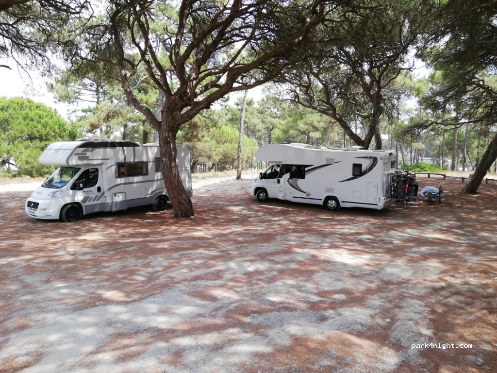 (2820) Aroeira - Avenida do Mar — foto