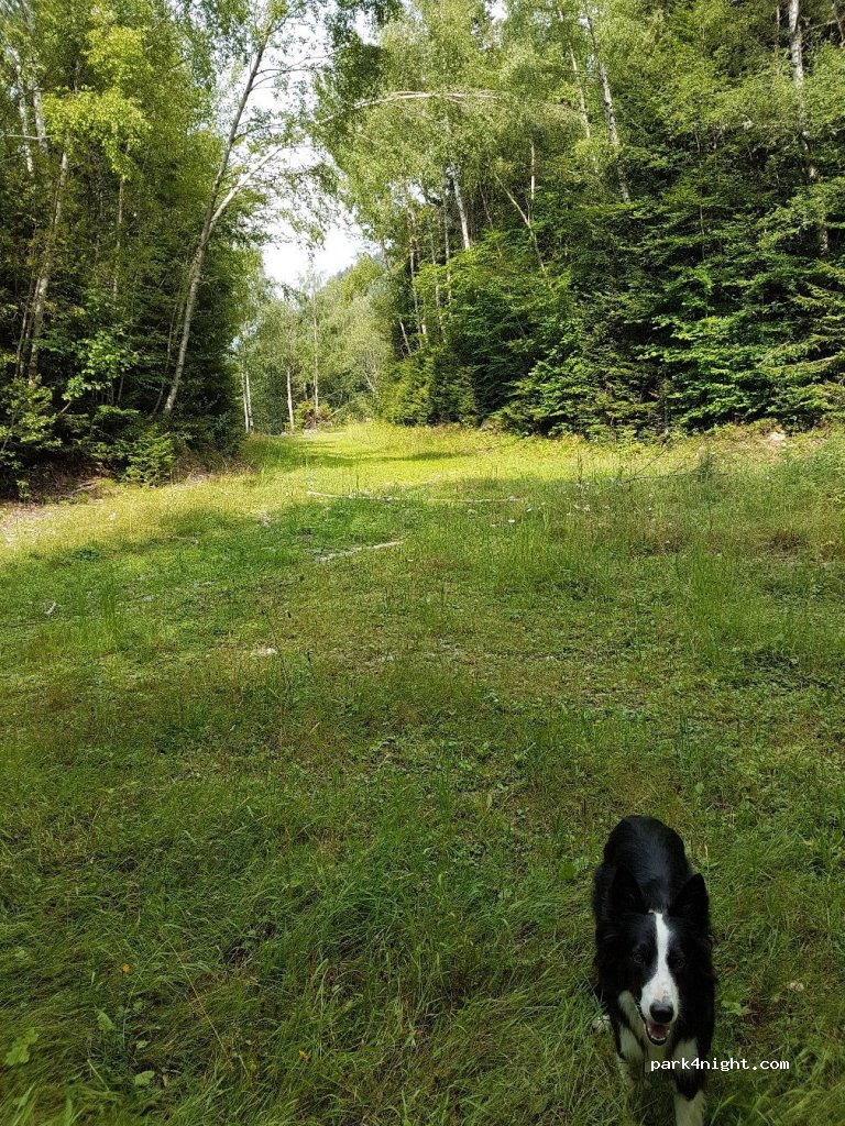 (38350) La Morte - Unnamed Road — foto