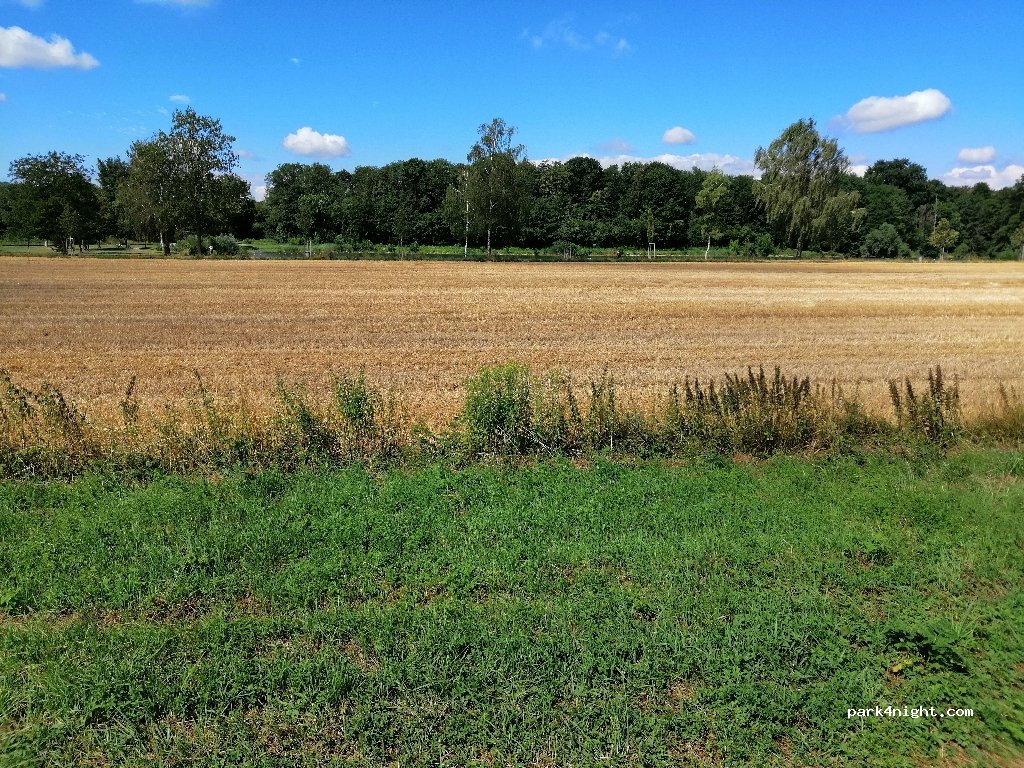 (79364) Malterdingen - L113 — foto 2