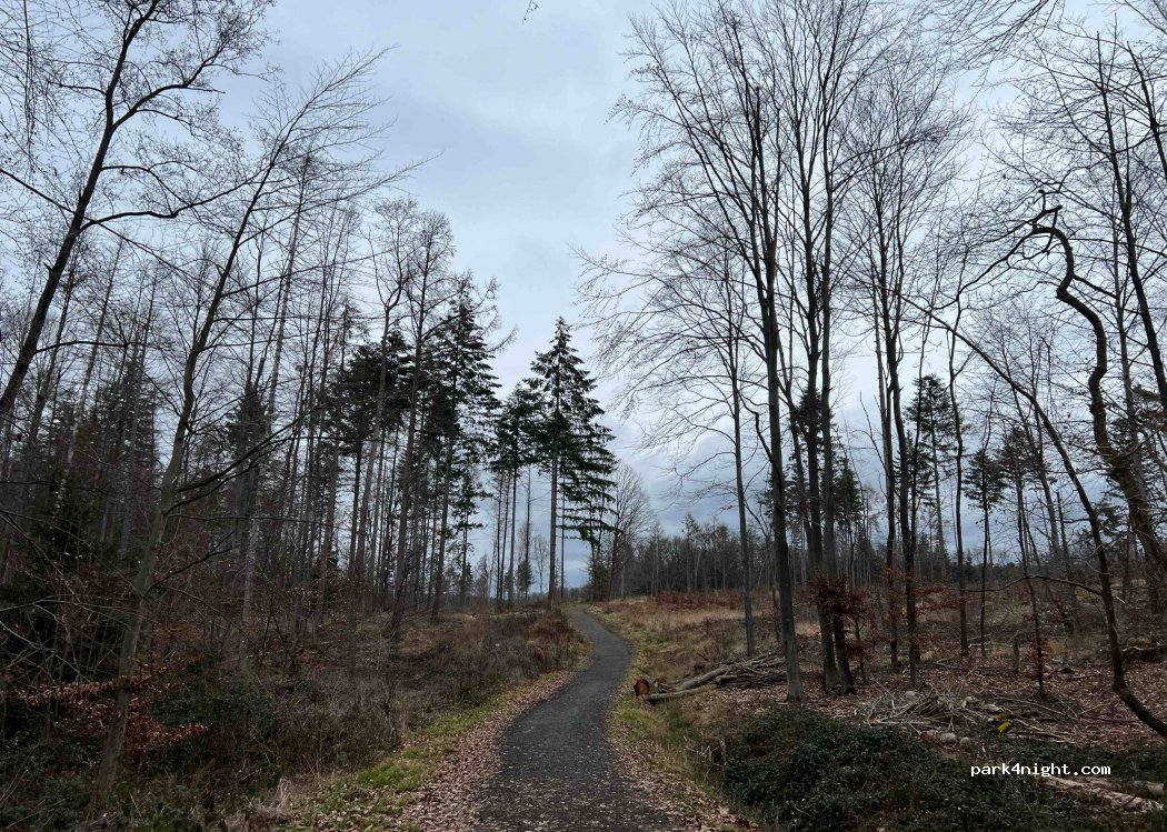 (53604) Bad Honnef - Waldstraße — foto 4